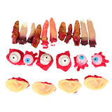 Cifeeo 5pcs Halloween Decor Horror Props Bloody Broken Finger Eyeball Ear Tricky Toy Fake Body Organs for Haunted House Party Supplies