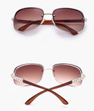 Cifeeo-Christmas gifts idea Quinlee Sunglasses
