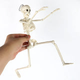 Cifeeo Skeleton Halloween Decorations 40cm Posable Funny Lifelike Plastic Skeletons for Haunted House Graveyard Scene Party Props Decor