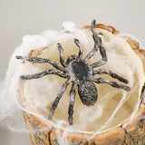 Cifeeo-Plastic Fake Spider Simulated Insect Model Prank Joke Toys Halloween Party Home Decoration Horror Props Kids Trick or Treat Gift