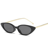 Cifeeo-Cool Sunglasses Ladies Cat Eye Sunglasses Women Brand Designer Fashion Small Frame Sun Glasses for Female Trend Glasees UV400