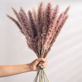 30Pcs Real Dried Reed Flowers Bouquet Home Wedding Decoration Table Flores Preservadas Natural Pampas Grass Decor For Room