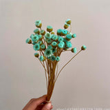 Christmas Gift 100PCS/~ 0.3CM Head,Real Dried Natural Mini Brazilian Pleasure Flower Branch,Miniature Dry Happy Flower Bouquet  For Home Decor