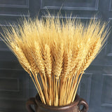 23cm Wheat Ear Flower Natural Dried Flowers For Wedding Party Decoration DIY Home Table Wedding Christmas Decor Wheat Bouquet