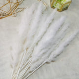 30Pcs Real Dried Reed Flowers Bouquet Home Wedding Decoration Table Flores Preservadas Natural Pampas Grass Decor For Room