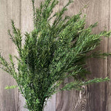 Christmas Gift 30~45CM/70g Real Dried Natural preserved Melaleuca,Decorative Eternal Grass,Forever Fresh Dry plants For Christmas Decoration