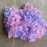 Christmas Gift 20g/lot ,Long Time Lasting Natural Fresh Preserved Flowers Dried Hydrangea Flower Head For IY Real Eternal Life Flowers Material