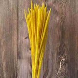 Christmas Gift 60PCS/35-40CM Dried Natural Flowers Eternelle Hypericum Japonicum Branch,Dry Goldenrod  Small Pampas Grass For Home Decor