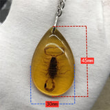 Christmas Gift Charm Natural Amber+ Key chain Resin Insect Specimen Scorpion Butterfly beetle spider Key ring Jewelry Gifts for Women Men