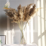 Christmas Gift Dried Pampas Grass Decor Fluffy Tall 20-22'' Wedding Flowers Arrangement Natural Bouquet For Home Christmas Decorations Vase