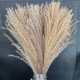 Christmas Gift Flower Ear15~30CM/Toal Length 42-50CM Real Dried Natural Pampas Grass,Reed Flower,Dry Small Bulrush Bouquet ,Home Decor,Wedding