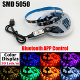 RGB 5050 2835 LED Lights Strip Bluetooth Control USB DC 5V Flexible Lamp Tape Diode Festival Fita Bedroom Tira Luces TV Desk Luz