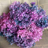 Christmas Gift 20g/lot ,Long Time Lasting Natural Fresh Preserved Flowers Dried Hydrangea Flower Head For IY Real Eternal Life Flowers Material