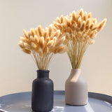 30PCs Natural Dried Flowers Rabbit Tail Grass Ornaments Lagurus Ovatus Real Bouquet Wedding Decoration DIY for Home Decor Plants