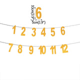 WEIGAO 1st Birthday Party Photo Garland Baby Shower First Birthday Girl Boy Party Monthly Picture 1-12 Months Photo Props 1 Year