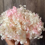 Christmas Gift 4-4.5g/Lot Natural Fresh Preserved Flowers Dried Small Leaves Hydrangea Flower Heads For DIY Real Eternal Life Flowers Material