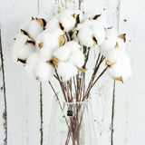 Christmas Gift Naturally Dried Cotton Flowers White Home Decorative Artificial Floral Branch Wedding Bridesmaid Bouquet Decor Fake White Flower