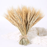 50PCs Natural Dried Wheat Ear Flower Real Flowers Bouquet Ornaments Wedding Decoration for Home Decor DIY Party Christmas Plants