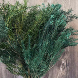 Christmas Gift 30~45CM/70g Real Dried Natural preserved Melaleuca,Decorative Eternal Grass,Forever Fresh Dry plants For Christmas Decoration