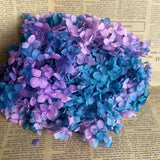 Christmas Gift 20g/lot ,Long Time Lasting Natural Fresh Preserved Flowers Dried Hydrangea Flower Head For IY Real Eternal Life Flowers Material