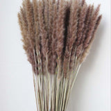 Christmas Gift Flower Ear15~30CM/Toal Length 42-50CM Real Dried Natural Pampas Grass,Reed Flower,Dry Small Bulrush Bouquet ,Home Decor,Wedding