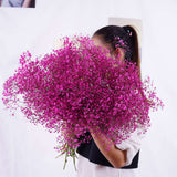 Christmas Gift Natural Fresh Dried Preserved Flowers Gypsophila Paniculata,Baby's Breath Flower Bouquets Gift For Wedding Party Decoration