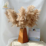 Christmas Gift Dried Pampas Grass Decor Fluffy Tall 20-22'' Wedding Flowers Arrangement Natural Bouquet For Home Christmas Decorations Vase