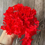 Christmas Gift 20g/lot ,Long Time Lasting Natural Fresh Preserved Flowers Dried Hydrangea Flower Head For IY Real Eternal Life Flowers Material