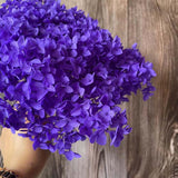 Christmas Gift 20g/lot ,Long Time Lasting Natural Fresh Preserved Flowers Dried Hydrangea Flower Head For IY Real Eternal Life Flowers Material