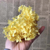 Christmas Gift 20g/lot ,Long Time Lasting Natural Fresh Preserved Flowers Dried Hydrangea Flower Head For IY Real Eternal Life Flowers Material