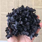 Christmas Gift 4-4.5g/Lot Natural Fresh Preserved Flowers Dried Small Leaves Hydrangea Flower Heads For DIY Real Eternal Life Flowers Material