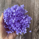 Christmas Gift 20g/lot ,Long Time Lasting Natural Fresh Preserved Flowers Dried Hydrangea Flower Head For IY Real Eternal Life Flowers Material