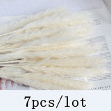 Christmas Gift Bulrush Natural Dried Flowers Artificial Plants Branch Colorful INS Pampas Grass Phragmites Fake Flower Wedding Home Decoration
