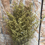 Christmas Gift 70g /35~45CM Natural Fresh Valentine Grass Preserved Flowers,Real Natural Love Grass Forever Plant Dancing Flower For Home Decor