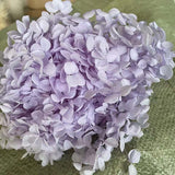 Christmas Gift 20g/lot ,Long Time Lasting Natural Fresh Preserved Flowers Dried Hydrangea Flower Head For IY Real Eternal Life Flowers Material