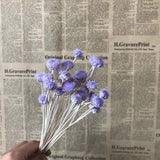 Christmas Gift 1-2CM Head/45PCS Real Dried Natural Flowers  Flower,Eternal Dry Small Brazilian Daisy Branch For Home Decor,Wedding