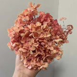 Christmas Gift 20g/lot ,Long Time Lasting Natural Fresh Preserved Flowers Dried Hydrangea Flower Head For IY Real Eternal Life Flowers Material