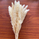 Christmas Gift 30PCS/Flower Ear 10~18CM Dry Mini Bulrush Bouquet,Real Dried Natural Grass Reed Flower,Small Pampas Reeds For Home Decor,wedding