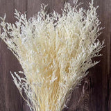Christmas Gift 70g /35~45CM Natural Fresh Valentine Grass Preserved Flowers,Real Natural Love Grass Forever Plant Dancing Flower For Home Decor