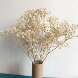Christmas Gift 40-45CM/60g Babysbreath Bouquet Natural Fresh Dried Preserved Gypsophila Flowers,Real Forever Baby Breath Flower Branch