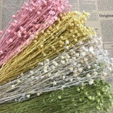 Christmas Gift 60g/About 25PCS,Decorative Natural Dried Beans of Fortune Flowers,Preserved Flower Jequirity Branch,Mini Fruit Jumble-Beads