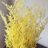 Christmas Gift 60g /35~45CM Natural Fresh Valentine Grass Preserved Flowers,Real Natural Love Grass Forever Plant Dancing Flower For Home Decor