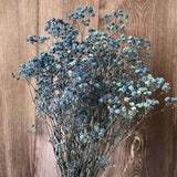 Christmas Gift 40-45CM/60g Babysbreath Bouquet Natural Fresh Dried Preserved Gypsophila Flowers,Real Forever Baby Breath Flower Branch