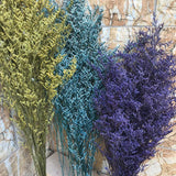 Christmas Gift 70g/Bundle,30~45CM Lover Grass Natural Fresh Dried Preserved Dancing Flowers,Real Forever Flower Grass Branch For Home Decor