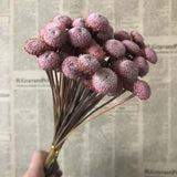 Christmas Gift 1-2CM Head/45PCS Real Dried Natural Flowers  Flower,Eternal Dry Small Brazilian Daisy Branch For Home Decor,Wedding