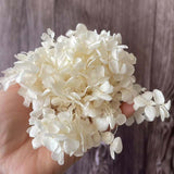 Christmas Gift 20g/lot ,Long Time Lasting Natural Fresh Preserved Flowers Dried Hydrangea Flower Head For IY Real Eternal Life Flowers Material