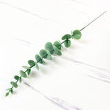 1 Piece Green Simulation Eucalipto Single Artificial Eucalyptus Leaf Artificial Plants for Wedding Shooting Prop Home Decoration