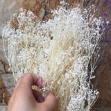 Christmas Gift 60g Real Natural Fresh Forever Babysbreath Dried Preserved Baby breath Flowers,DIY Dry Gypsophile Flower Bouquet For Home Decor