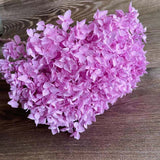 Christmas Gift 20g/lot ,Long Time Lasting Natural Fresh Preserved Flowers Dried Hydrangea Flower Head For IY Real Eternal Life Flowers Material