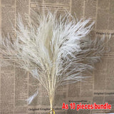 Christmas Gift About 40CM/10PCS Real Dried Natural Flowers Preserved Feather Grass,Dry Arundinacea Eternelle,Home Decor,Wedding Decoration